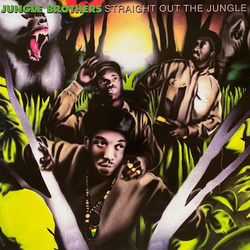 Jungle Brothers Straight Out The Jungle Vinyl LP USED