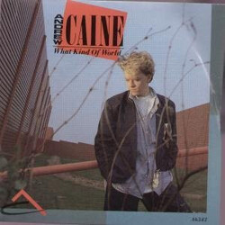 Andy Caine What Kind Of World USED VINYL 12INCH 45 RPM