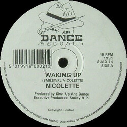 Nicolette Waking Up / Dove Song USED VINYL 12INCH 45 RPM