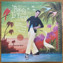 Pokey LaFarge In The Blossom Of Their Shade Vinyl LP USED