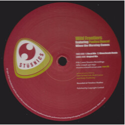 Wild Frontiers / Paulina Doncel When The Morning Comes VINYL 12" USED