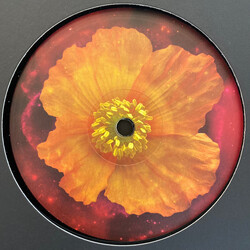 Clarence Wu Venus Within USED VINYL 12INCH 33 S RPM EP