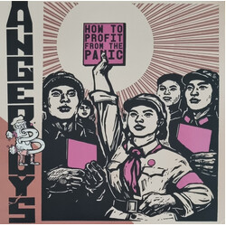 Angerboys How To Profit From The Panic USED VINYL 12INCH 45 RPM ALBUM
