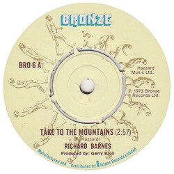 Richard Barnes Take To The Mountains Vinyl 7" USED