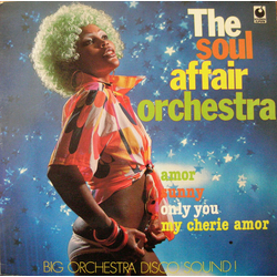 The Soul Affair Orchestra The Soul Affair Orchestra Vinyl LP USED