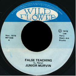 Junior Murvin False Teaching USED VINYL 7INCH 45 RPM