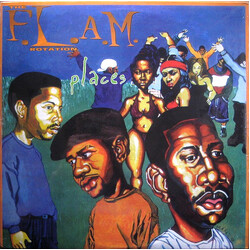 The F.L.A.M. Rotation Places USED VINYL 12INCH 33 S RPM