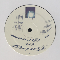 Banshee (13) Living In A Dreem Vinyl 12" USED