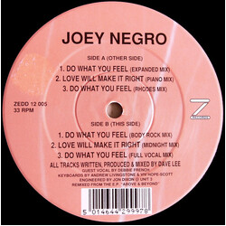Joey Negro Do What You Feel VINYL 12" USED