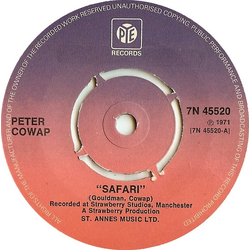 Peter Cowap Safari Vinyl 7" USED