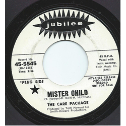 The Care Package Mister Child Vinyl 7" USED
