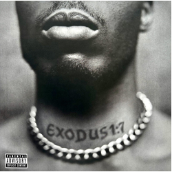 DMX Exodus Vinyl LP USED