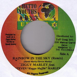 Ziggy Marley / Stephen Marley Rainbow In The Sky (Remix) Vinyl 7" USED