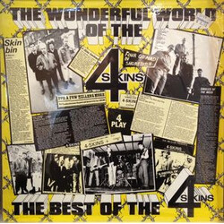 4 Skins The Wonderful World Of The 4 Skins (The Best Of The 4 Skins) Vinyl LP USED