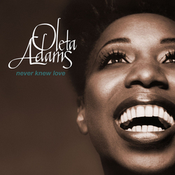 Oleta Adams Never Knew Love Vinyl 12" USED