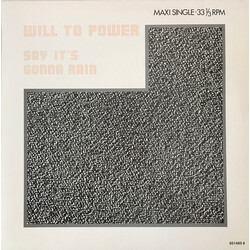 Will To Power Say It's Gonna Rain (New Remixes) VINYL 12" USED