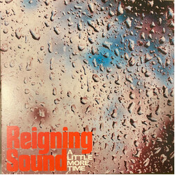 Reigning Sound A Little More Time USED VINYL 7INCH 45 RPM SINGLE