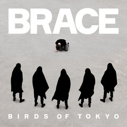 Birds Of Tokyo Brace Vinyl LP USED