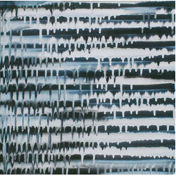 Eirwud Mudwasser Snaker 010 Vinyl LP USED
