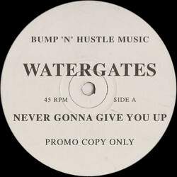 Watergates Never Gonna Give You Up USED VINYL 12INCH PROMO 45 RPM