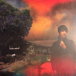 Sharon Van Etten We've Been Going About This All Wrong Vinyl LP USED