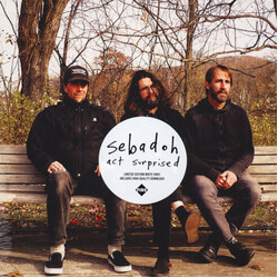 Sebadoh Act Surprised Vinyl LP USED