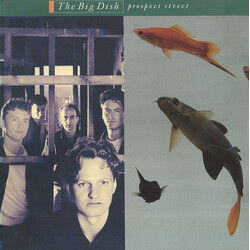 The Big Dish Prospect Street VINYL 12" USED