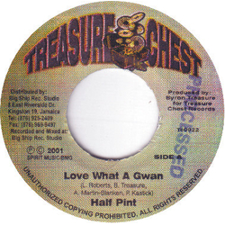 Half Pint (3) Love What A Gwan Vinyl 7" USED
