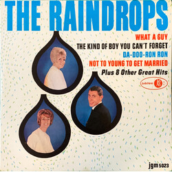 The Raindrops The Raindrops Vinyl LP USED