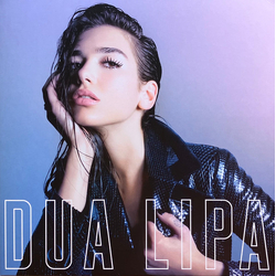 Dua Lipa Dua Lipa Vinyl LP USED
