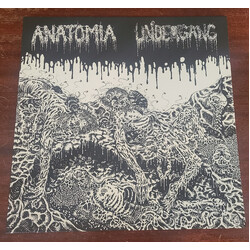 Anatomia / Undergang (2) Anatomia / Undergang USED VINYL 12INCH 33 S RPM