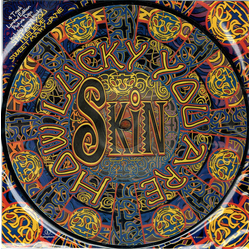 Skin (4) How Lucky You Are Vinyl 7" USED