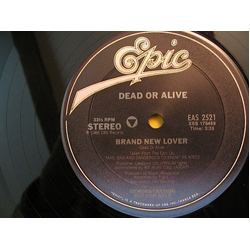 Dead Or Alive Brand New Lover VINYL 12" USED