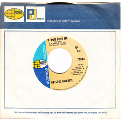 Bristol Boxkite If You Love Me Vinyl 7" USED