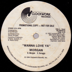 Brian Morgan Wanna Love Ya Vinyl 12" USED