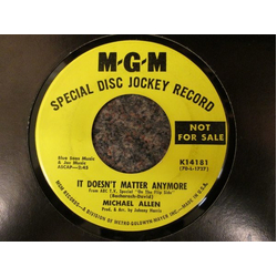 Michael Allen (7) It Doesn't Matter Anymore Vinyl 7" USED