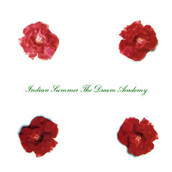 The Dream Academy Indian Summer USED VINYL 7INCH 45 RPM