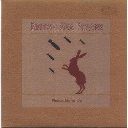British Sea Power Please Stand Up USED VINYL 7INCH 45 RPM SINGLE