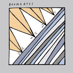 Boomgates Layman's Terms / Nothing USED VINYL 7INCH
