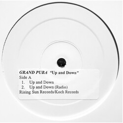 Grand Puba Up And Down USED VINYL 12INCH PROMO WHITE LABEL