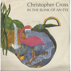 Christopher Cross In The Blink Of An Eye USED VINYL 7INCH 45 RPM SINGLE STEREO