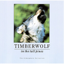Brian Wright (5) Timberwolf In The Tall Pines CD USED
