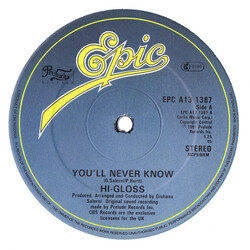 Hi-Gloss You'll Never Know VINYL 12" USED