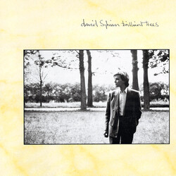 David Sylvian Brilliant Trees Vinyl LP USED