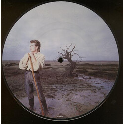 Nik Kershaw The Riddle USED VINYL 7INCH PICTURE DISC SINGLE 45 RPM