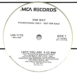 One Way Lady You Are / Mr. Groove VINYL 12" USED