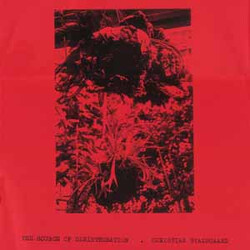 Christian Stadsgaard The Source Of Disintegration Vinyl LP USED