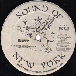 Indeep The Record Keeps Spinning VINYL 12" USED