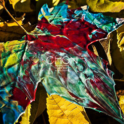 CHON (3) Grow Vinyl LP USED