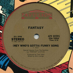 Fantasy (2) (Hey Who's Gotta) Funky Song USED VINYL 12INCH 33 S RPM